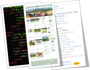 Conception de sites web